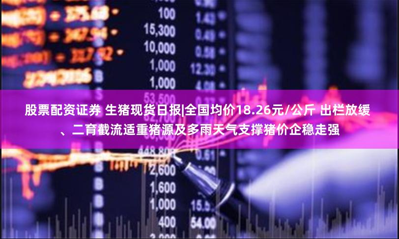 股票配资证券 生猪现货日报|全国均价18.26元/公斤 出栏放缓 、二育截流适重猪源及多雨天气支撑猪价企稳走强